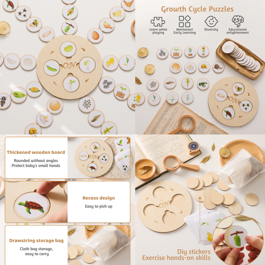 Montessori Animal & Plant Life Cycle Board Set