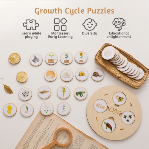 Montessori Animal & Plant Life Cycle Board Set
